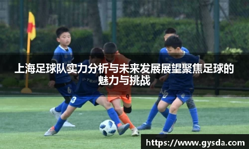 上海足球队实力分析与未来发展展望聚焦足球的魅力与挑战
