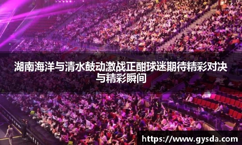 湖南海洋与清水鼓动激战正酣球迷期待精彩对决与精彩瞬间