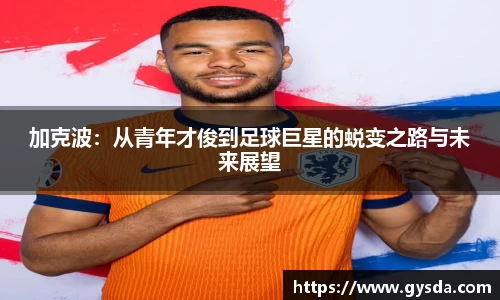 南宫28